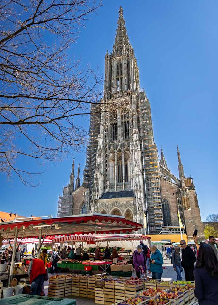 The massive Gothic Ulm Minster cathedral towering over a busy outdoor farmer's market with white tents, fresh produce stalls, and people shopping in the Münsterplatz square in Ulm, Germany.