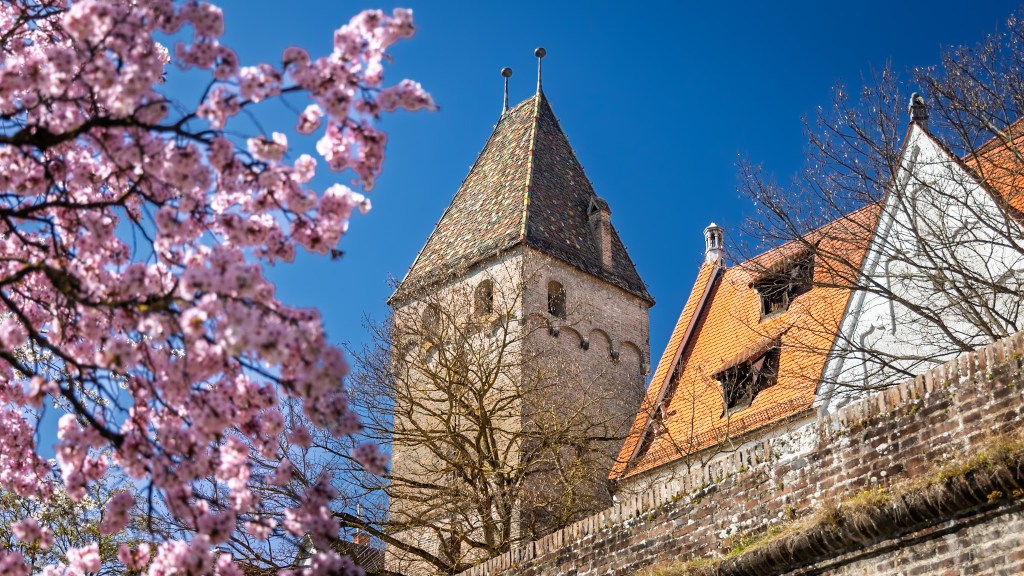 A view of the historic leaning Metzgerturm (Butcher's Tower) in Ulm, Germany, beautifully framed by blooming pink spring flowers and cherry blossoms against a clear blue sky.