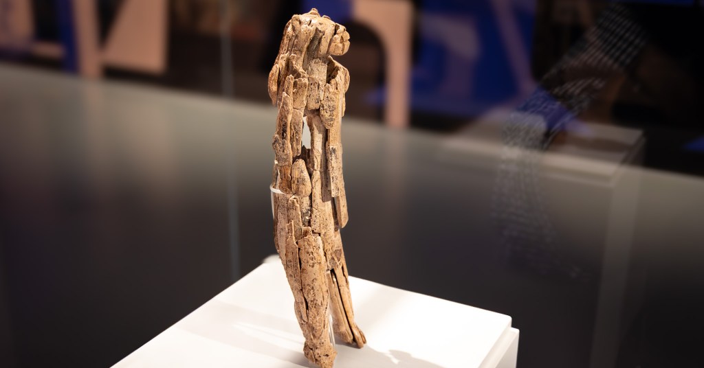 The 40,000-year-old Lion Man ivory sculpture, an Ice Age masterpiece found in the Lone Valley, on display at the Museum Ulm in Germany.